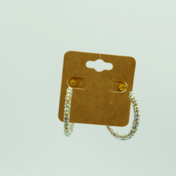 Stoned Hoop Earrings