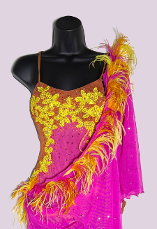 Pink Mesh Wrap Latin Dress with Yellow and Orange Feathers, Single Mesh Sleeve, Lace Applique, Stones, and Open Back Sz S Lat211