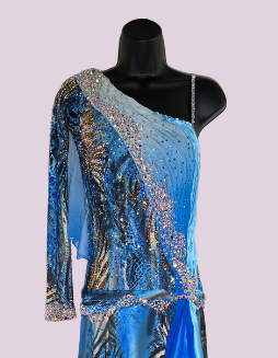 Zebra and Snake Skin Print Blue Smooth Ballroom Dress with One Long Sleeve, Ruching, and Asymmetrical Neckline Smo149 Sz S