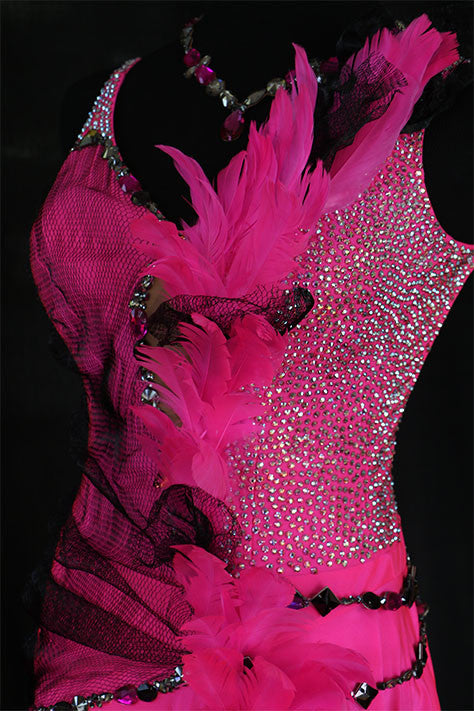 feathers and Swarovski stones on electric pink and black latin/rhythm costume dress