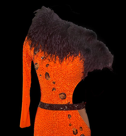 Orange Latin Dress with Single Long Sleeve, Side Cutout, Black Feather Collar, Asymmetrical Skirt, Swarovski Stones, and Nude Mesh Insert at Hip Sz S Lat167